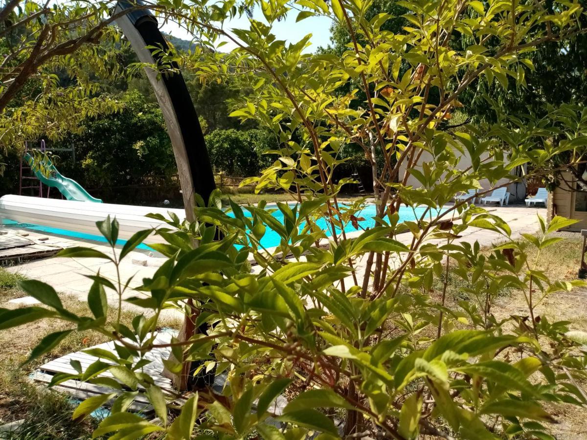 Maison D'Hotes Eco-Responsable Avec Piscine 6X12M Châteaudouble Exterior foto