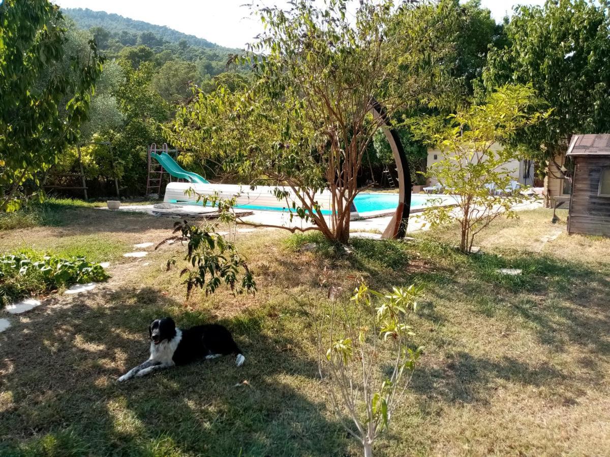 Maison D'Hotes Eco-Responsable Avec Piscine 6X12M Châteaudouble Exterior foto